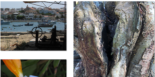 Centro de Interpretação recebe exposição de fotografia 1/1000” da vida de Astrid em Portugal