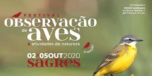 A Natureza espera por si em Sagres: inscrições a partir de amanhã