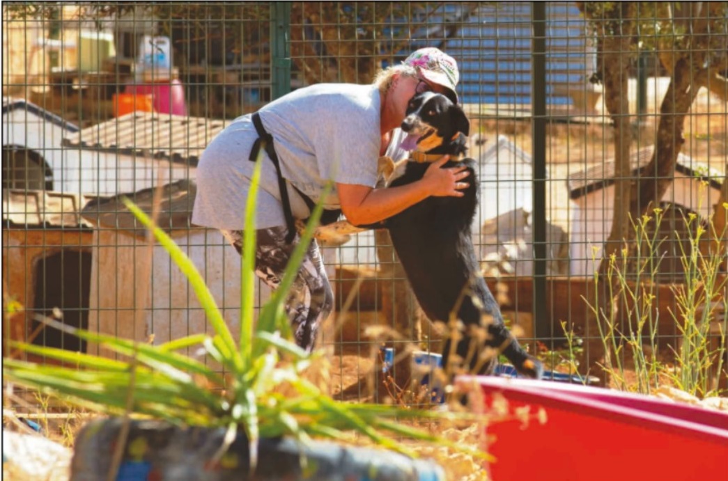 Dia Mundial dos  Animais Abandonados