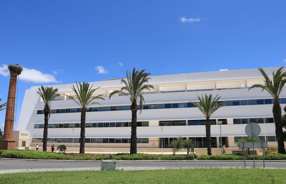 Município de Lagos contribui para o “Plano de Recuperação Económica do Algarve” da AMAL