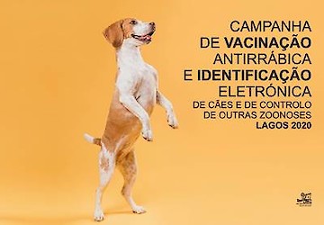 Campanha de vacinação e identificação electrónica de cães arranca em Lagos