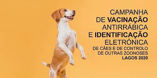Campanha de vacinação e identificação electrónica de cães arranca em Lagos