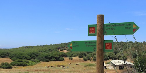 «Guia de percursos pedestres» com 51 rotas para descobrir o património natural do Algarve