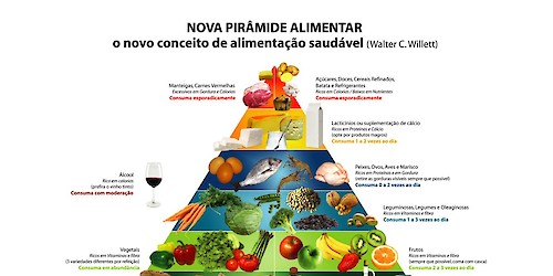 16 de Outubro celebra-se o Dia Mundial da Alimentação