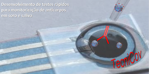 COVID-19: Consórcio liderado pela UC desenvolve testes rápidos de baixo custo para detectar a resposta imunitária ao vírus SARS-CoV-2