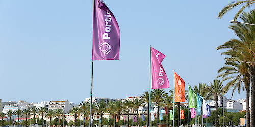 Turismo do Algarve associa-se ao Portimão MotorSports
