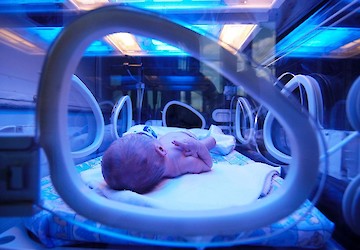 Município de Lagos associa-se à causa da prematuridade