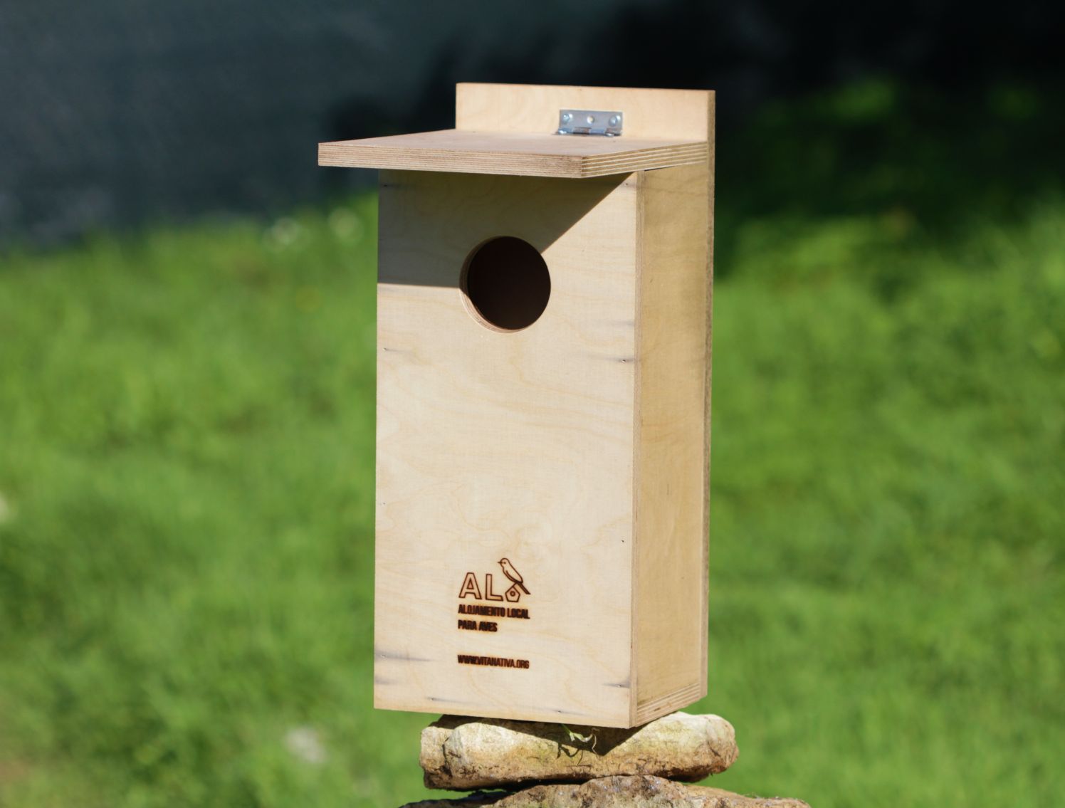 "Alojamento Local para Aves" avança com primeira caixa-ninho na Ria Formosa