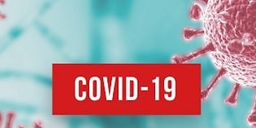 Covid-19: Concelhos de Lagos e Vila do Bispo passam para categoria "Risco Moderado"