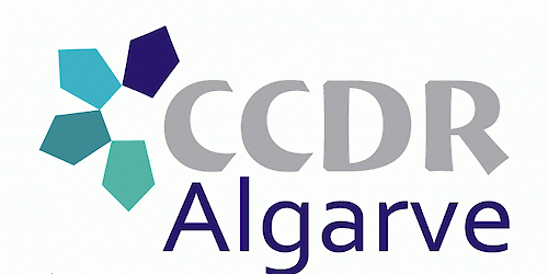 CDDR Algarve: Desenvolvimento de recursos didácticos digitais com apoio do Programa Operacional do Algarve