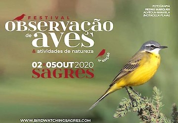 Munícipio de Vila do Bispo recorda Webinar «Tendências do fluxo migratório de aves planadoras em Sagres»