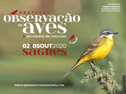Munícipio de Vila do Bispo recorda Webinar «Tendências do fluxo migratório de aves planadoras em Sagres»