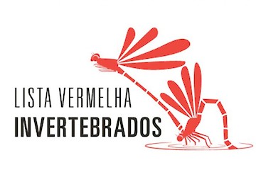 Vila do Bispo recorda Webinar "Lista Vermelha de Invertebrados" no âmbito do Festival de Observação de Aves & Actividades de Natureza 2020