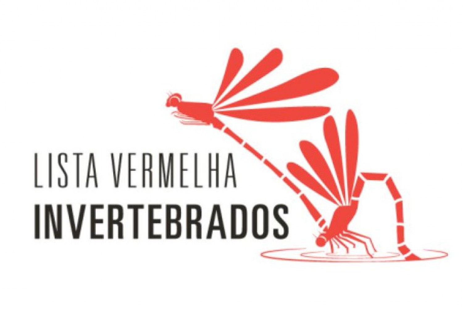 Vila do Bispo recorda Webinar "Lista Vermelha de Invertebrados" no âmbito do Festival de Observação de Aves & Actividades de Natureza 2020