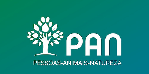 PAN solicita «audição urgente» sobre plantação ilegal de abacates no concelho de Lagos