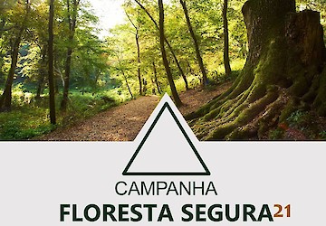 GNR: Campanha Floresta Segura 2021 – Fase de sensibilização