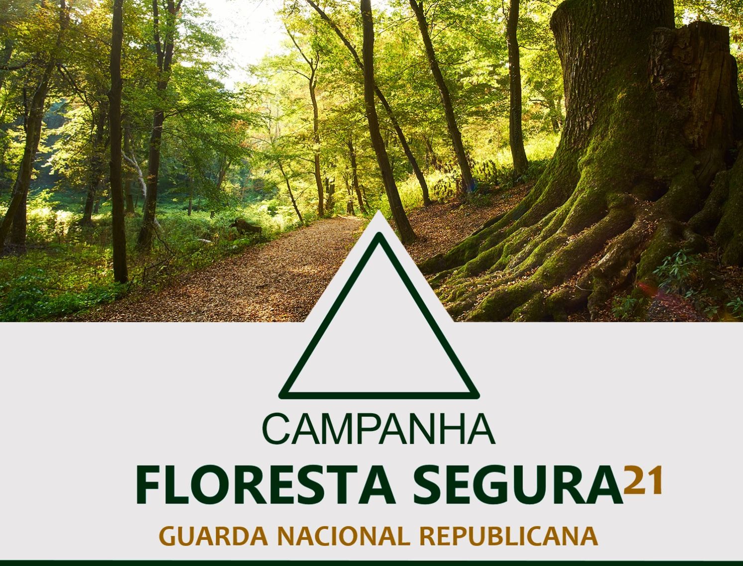 GNR: Campanha Floresta Segura 2021 – Fase de sensibilização