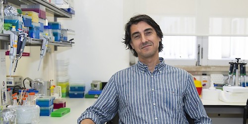 Nanopartícula para combate ao cancro obtém designação de "medicamento órfão"