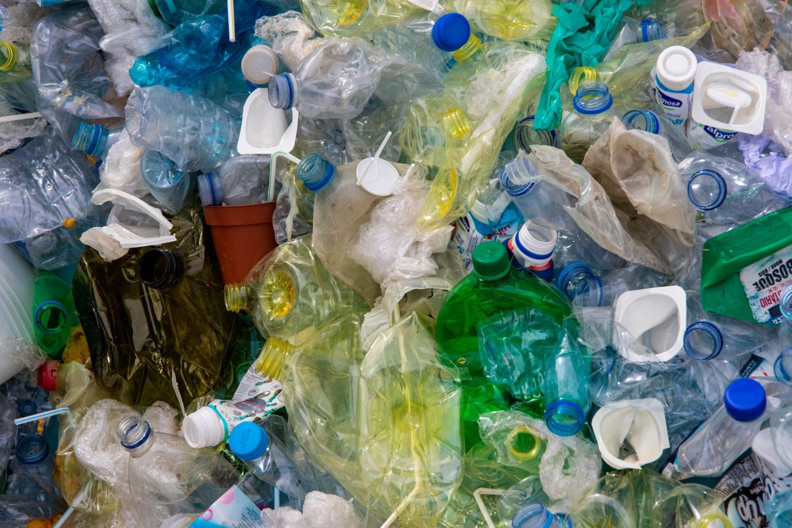 Conheça as instituições sociais que mais reciclaram em 2020