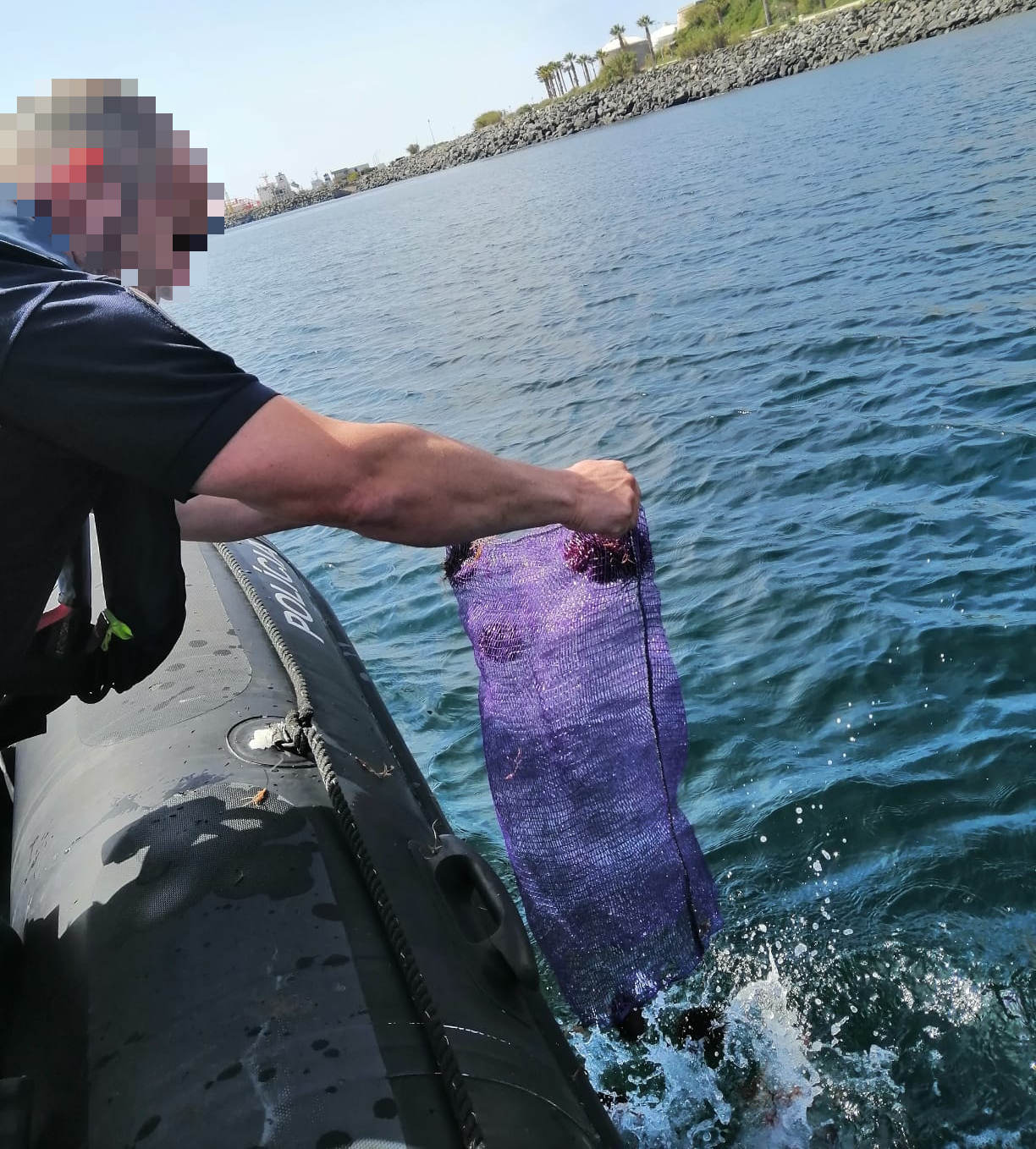 Polícia Marítima apreende cerca de 166kg de ouriços-do-mar na Costa Vicentina