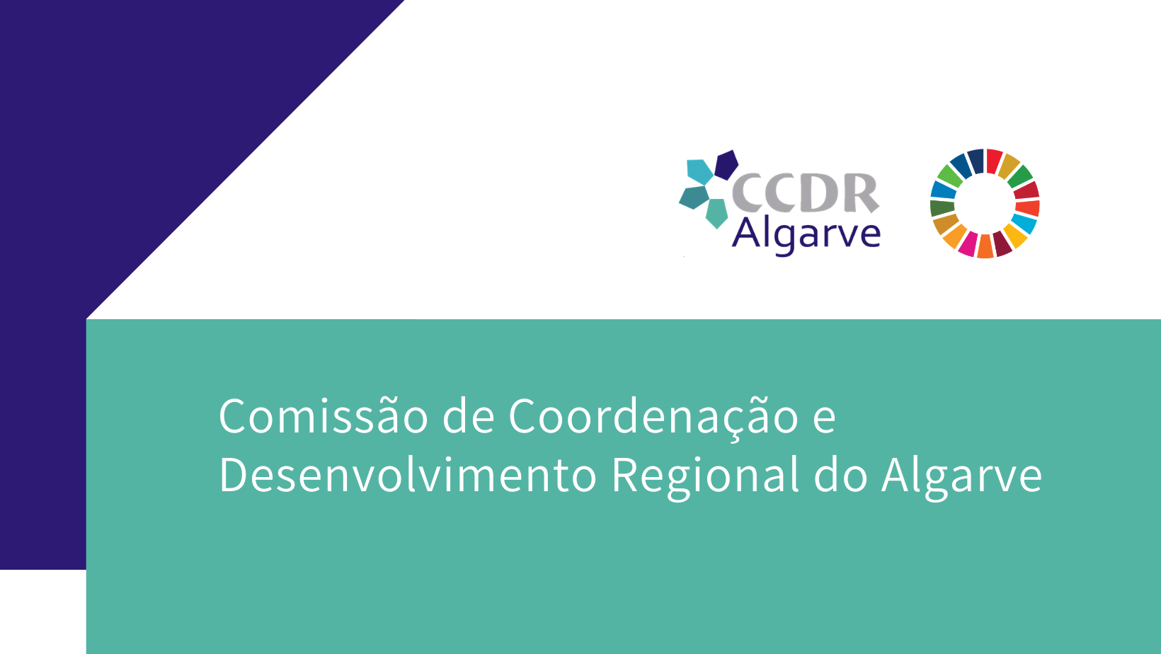 CCDR Algarve promove Webinar sobre o auxílio à população em situação de sem-abrigo na região