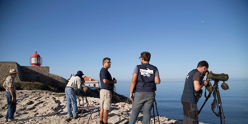 Vila do Bispo distinguida com "Prémio Autarquia do Ano 2020-2021"