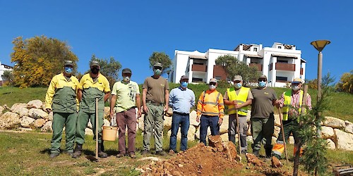 Terminaram ontem as acções no âmbito da "Semana Verde" com cerca de 773 árvores plantadas e oferecidas