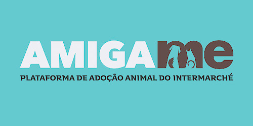 Intermarché promove campanha solidária nacional para apoiar animais abandonados