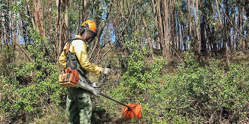 Lagos: Autarquia reforça medidas de prevenção e combate aos incêndios