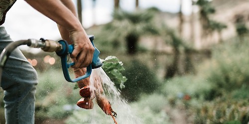 Retoma das visitas a projectos nos sectores Agroalimentar e da Economia do Mar no Algarve