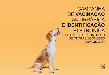 Tem início em Lagos a campanha de vacinação e identificação electrónica de cães