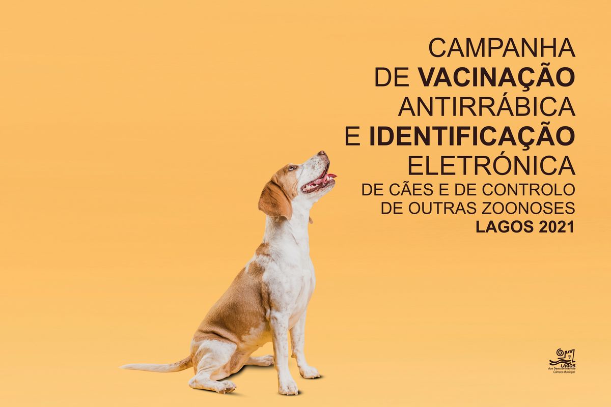 Tem início em Lagos a campanha de vacinação e identificação electrónica de cães