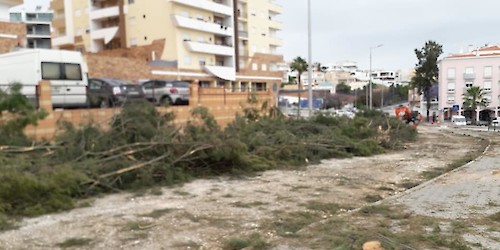 Carta Aberta do PAN à Autarquia de Lagos pelo «atentado ambiental» na cidade