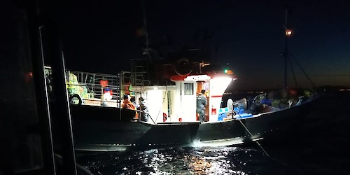 Polícia Marítima apreende cerca de 50kg de caranguejo ao largo da Costa Algarvia