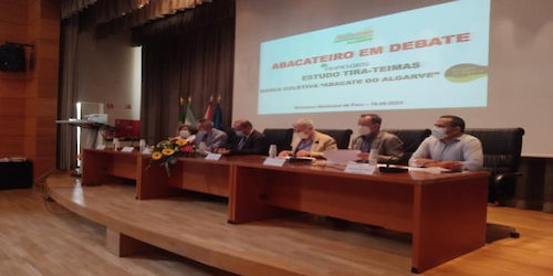 Estudo sobre o abacate no Algarve teve aprovação unânime