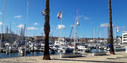 Lagos, mar e turismo náutico em debate no último Encontro de 5.ª Feira do Grupo Amigos de Lagos