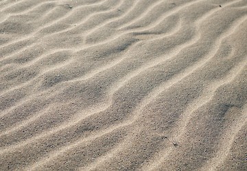 Covid-19: Quais as regras relativamente às praias?