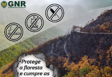 Estão em vigor as medidas e acções especiais de prevenção contra incêndios florestais