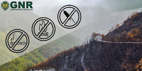 Estão em vigor as medidas e acções especiais de prevenção contra incêndios florestais