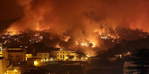 União Empresarial do Algarve sobre incêndio de Monchique: «Não baixaremos os braços»