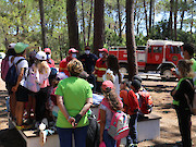 Vila do Bispo: "Verão a Brincar" sensibiliza crianças para a prevenção dos incêndios florestais - 1