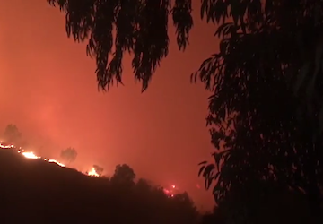 Mexilhoeira Grande: Família de quatro afectada pelos incêndios de Julho pede ajuda para recuperar subsistência