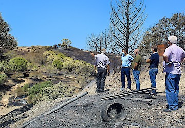 DRAP Algarve faz avaliação no terreno dos prejuízos causados pelo incêndio que deflagrou no concelho de Castro Marim