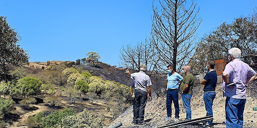 DRAP Algarve faz avaliação no terreno dos prejuízos causados pelo incêndio que deflagrou no concelho de Castro Marim