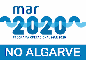 Mar 2020 tem uma execução de 63% no Algarve