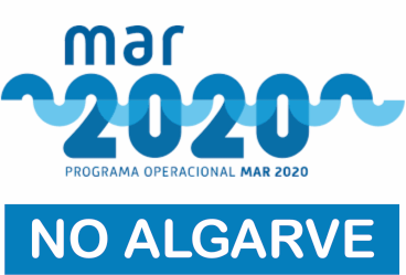 Mar 2020 tem uma execução de 63% no Algarve