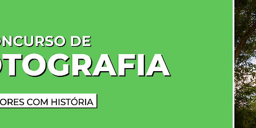 Aljezur: Já são conhecidos os vencedores do primeiro Concurso "Árvores com História"