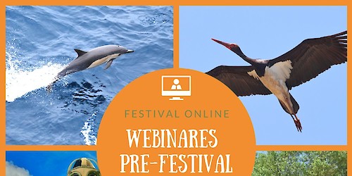 Sagres: Abertas as inscrições para os webinares pré-Festival de Observação de Aves & Actividades de Natureza 2021