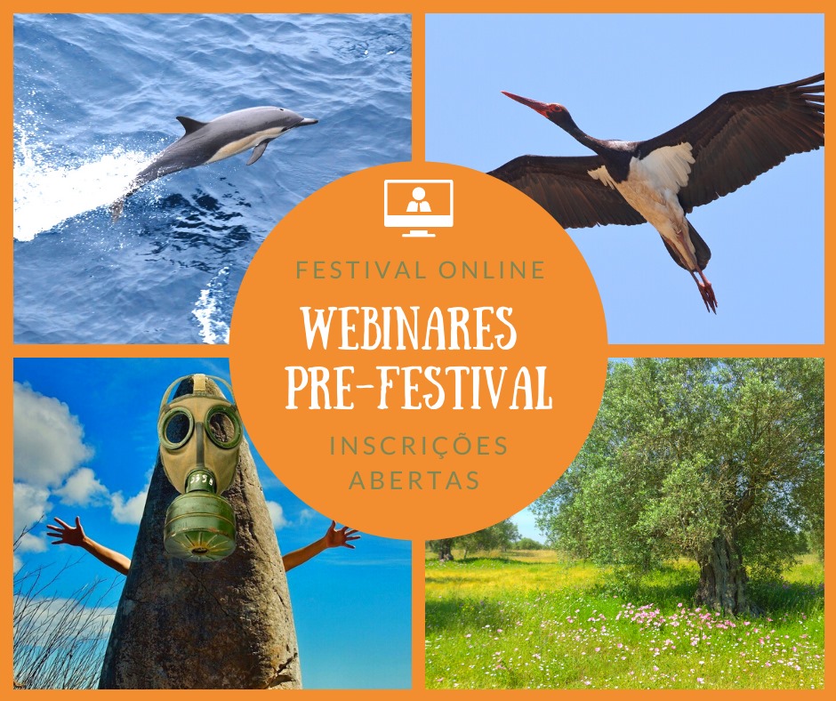 Sagres: Abertas as inscrições para os webinares pré-Festival de Observação de Aves & Actividades de Natureza 2021