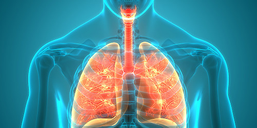 Falta de conhecimento sobre os sintomas da Fibrose Pulmonar compromete o diagnóstico precoce da doença